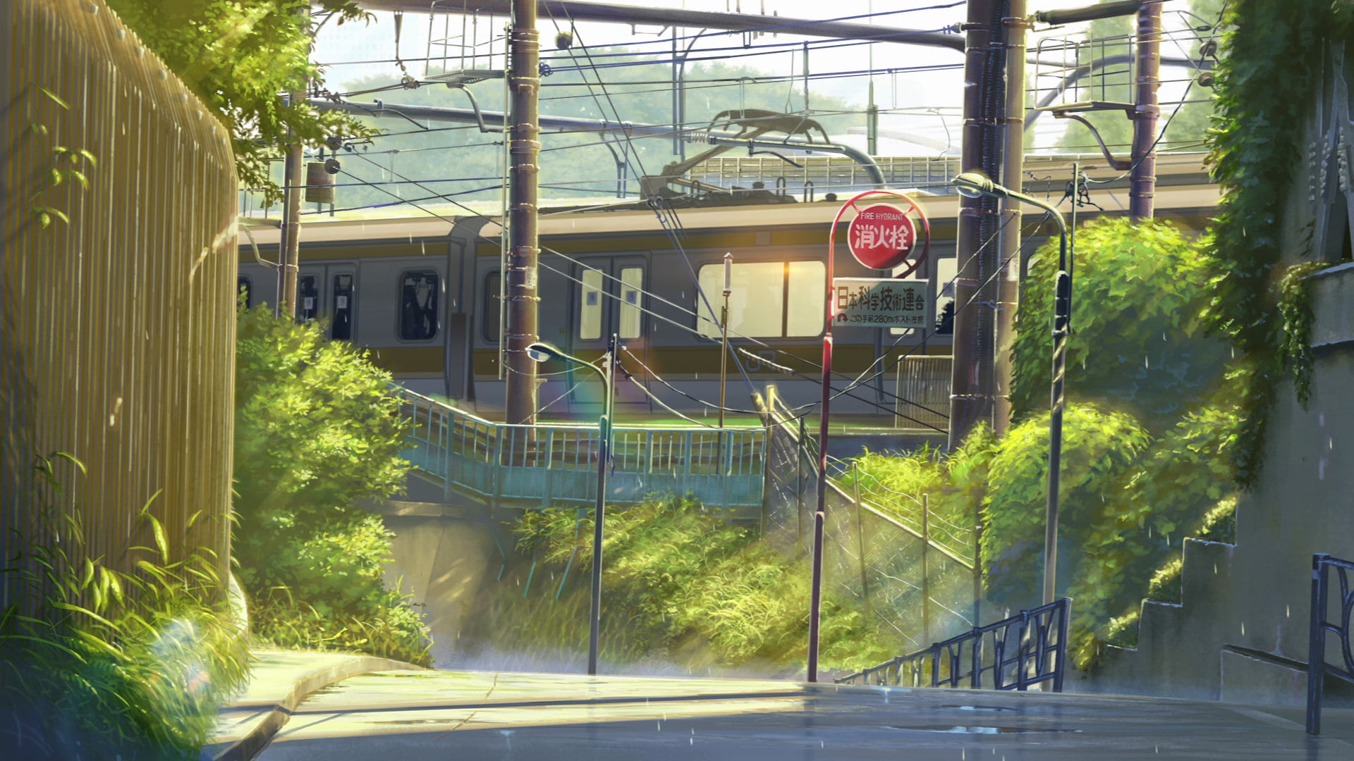 afternoon train
